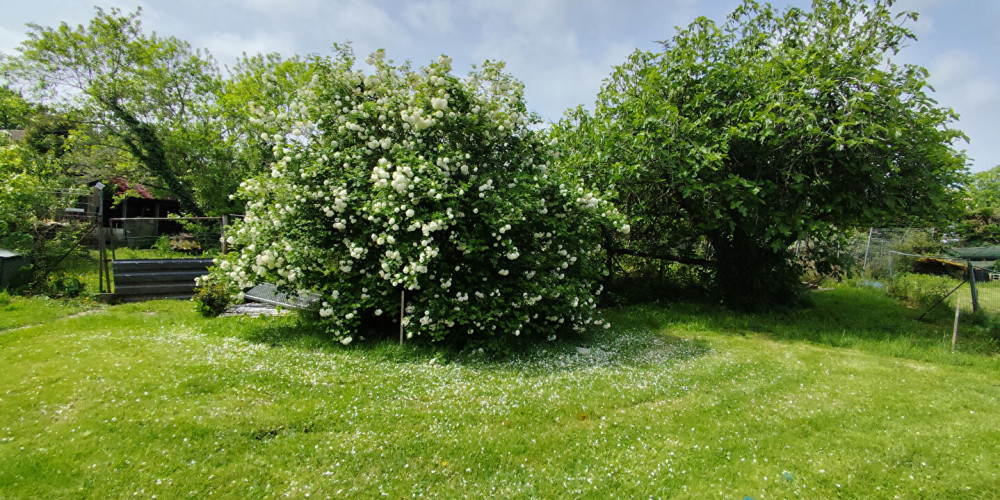 terrain à LAHONCE (64990)