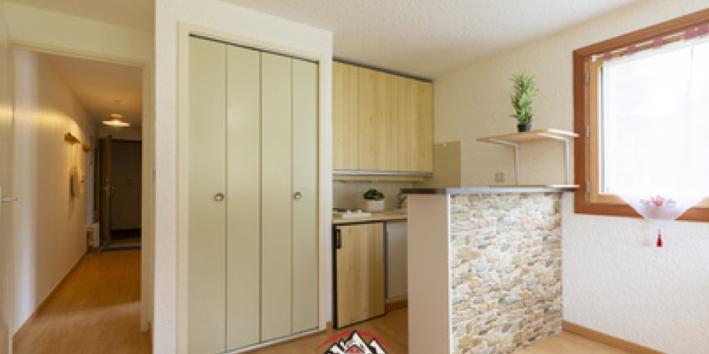 appartement à ST LARY SOULAN (65170)