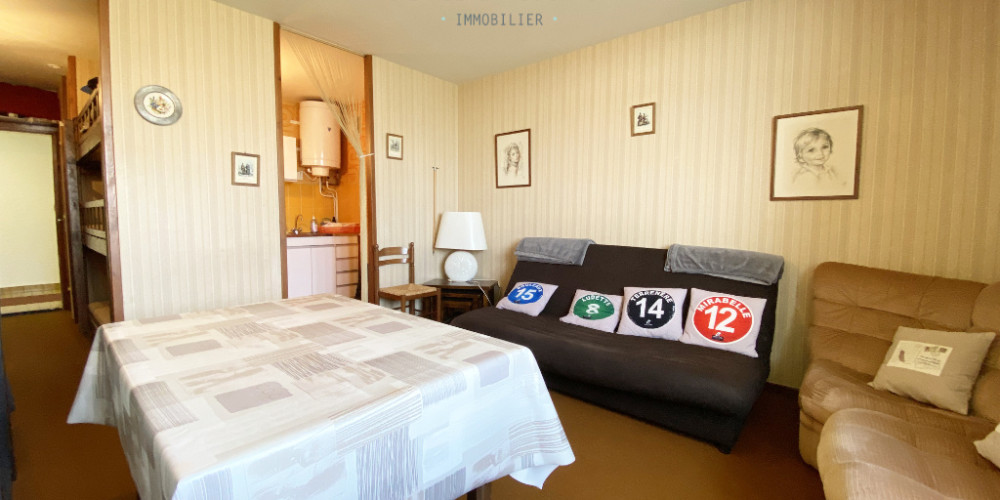 appartement à ST LARY SOULAN (65170)