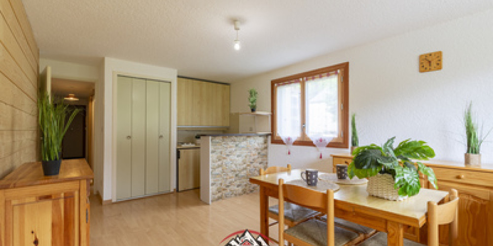 appartement à ST LARY SOULAN (65170)