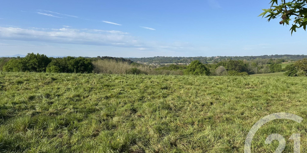 terrain à BONNUT (64300)