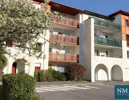 appartement  ST PIERRE D IRUBE