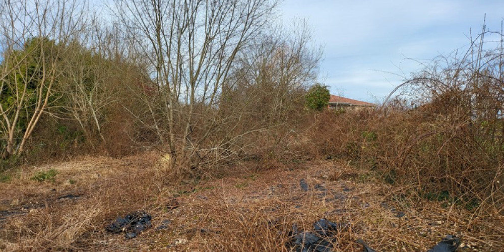 terrain à SALIES DE BEARN (64270)