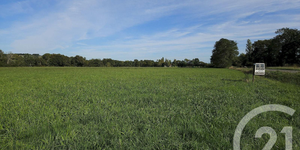 terrain à SAULT DE NAVAILLES (64300)