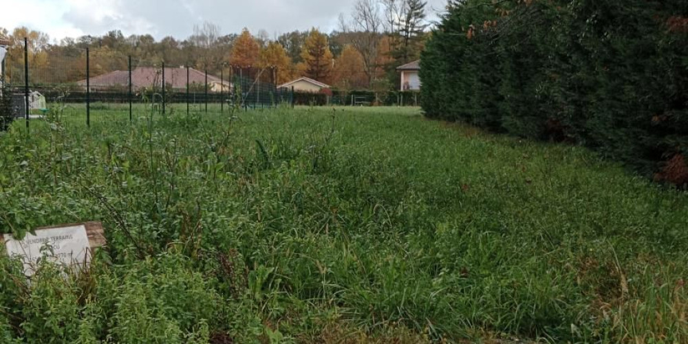 terrain à SAULT DE NAVAILLES (64300)