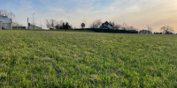 terrain à THEZE (64450)