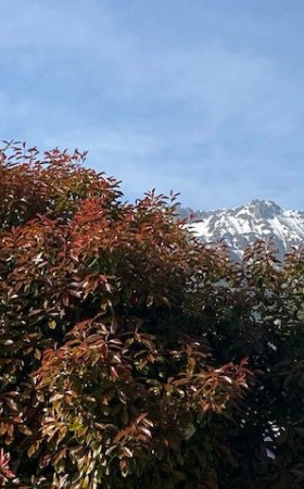 Appartement  BAGNERES DE BIGORRE