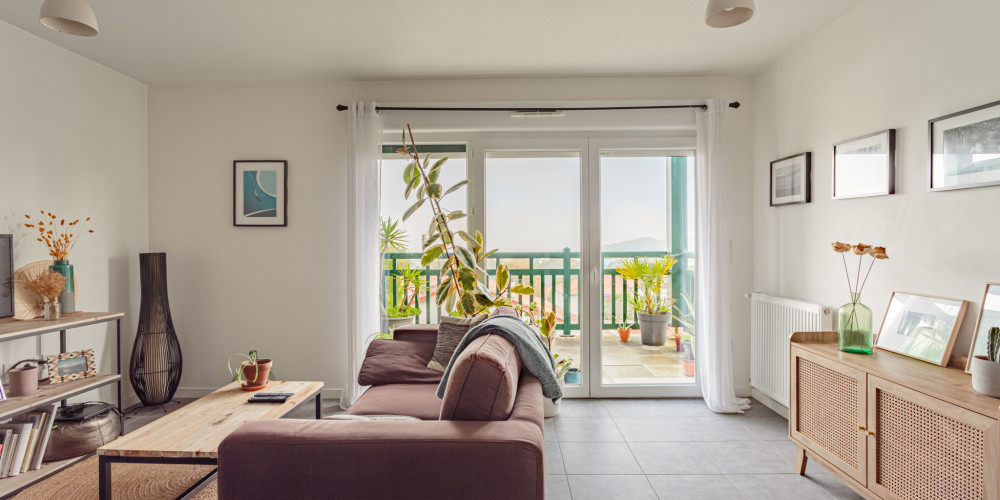 appartement à ST PIERRE D IRUBE (64990)