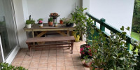 appartement à ST JEAN DE LUZ (64500)