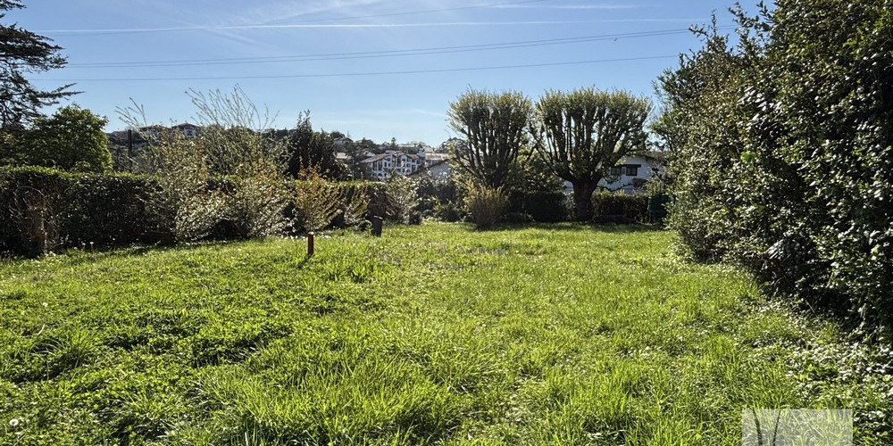 terrain à ST JEAN DE LUZ (64500)