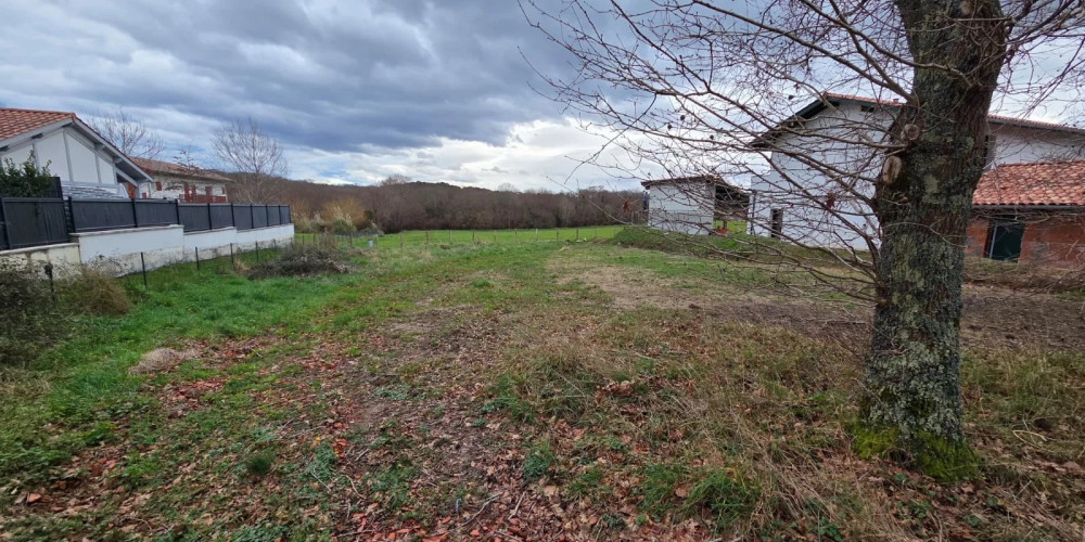 terrain à ARBONNE (64210)