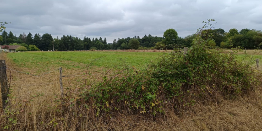 terrain à ST LAURENT DE NESTE (65150)