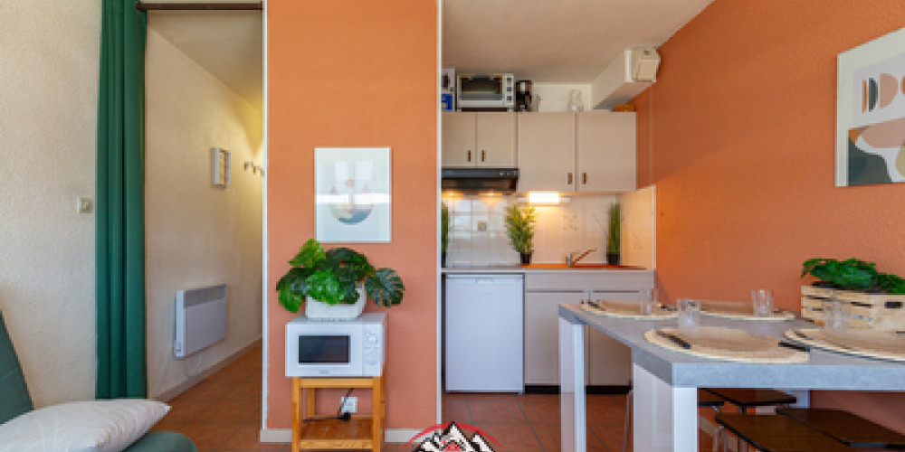 appartement à ST LARY SOULAN (65170)