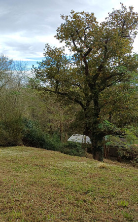 Terrain  ST PEE SUR NIVELLE