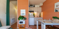 appartement à ST LARY SOULAN (65170)