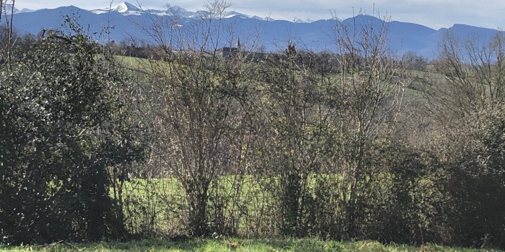 maison à LANNEMEZAN (65300)