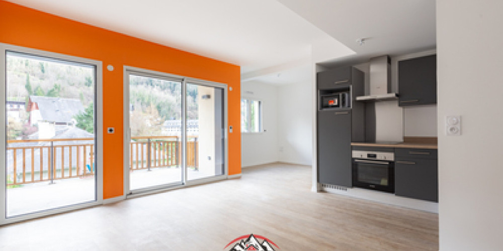 appartement à ST LARY SOULAN (65170)