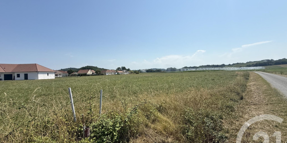 terrain à MASLACQ (64300)