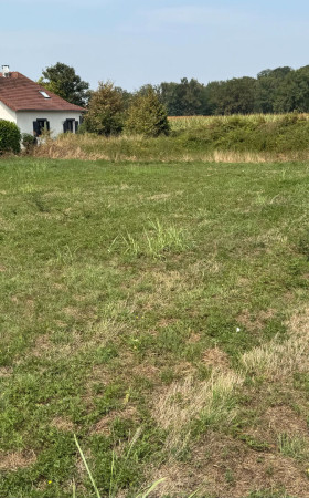 Terrain  IDRON