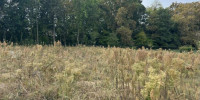 terrain à LESCAR (64230)