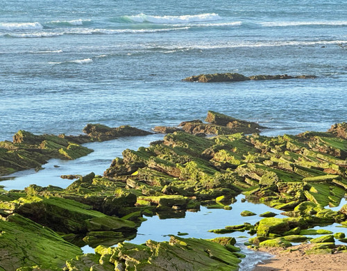 appartement  BIARRITZ