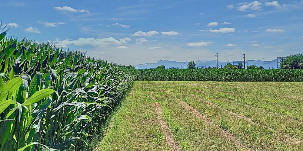 terrain à BORDES (64510)