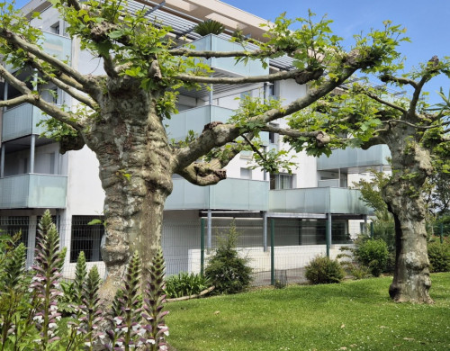 appartement  BAYONNE