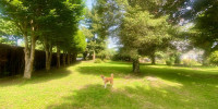 terrain à NAY (64800)