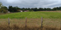 terrain à ST LAURENT DE NESTE (65150)
