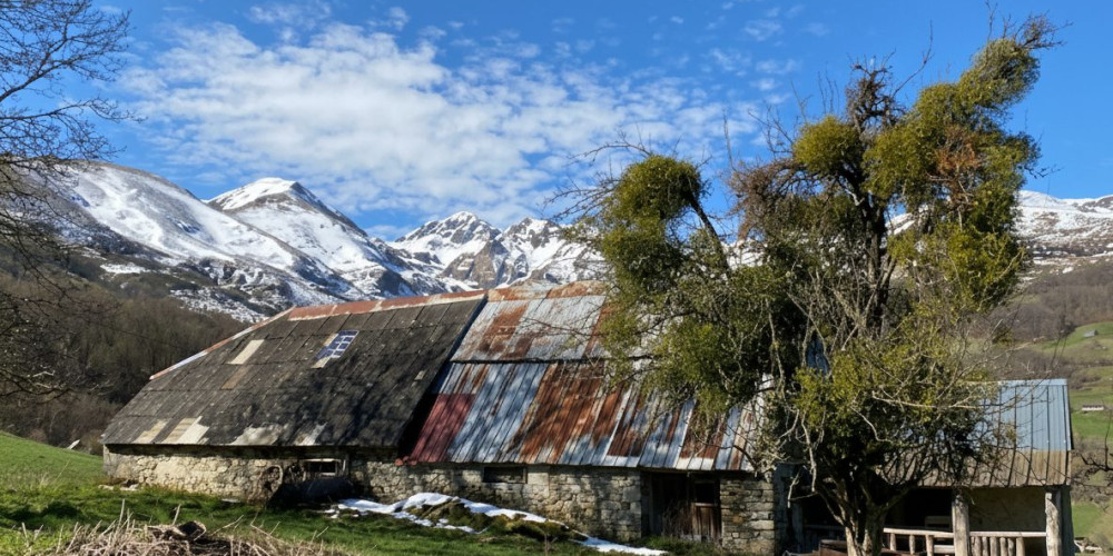 maison à CAMPAN (65710)