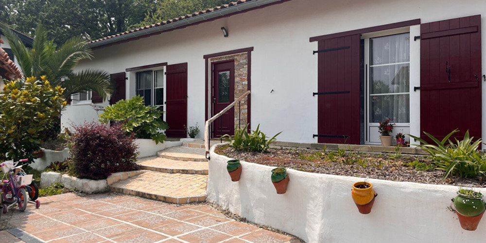 maison à SARE (64310)