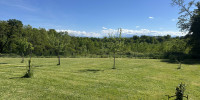 terrain à LESCAR (64230)