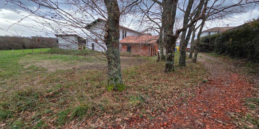 terrain à ARBONNE (64210)