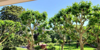 appartement à BIARRITZ (64200)