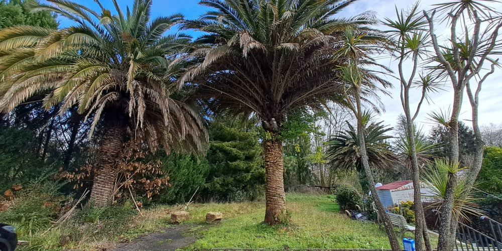 terrain à BAYONNE (64100)
