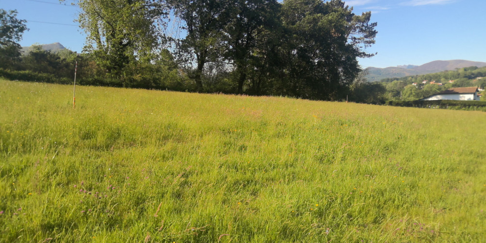 terrain à ASCAIN (64310)