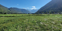 terrain à GUCHEN (65240)