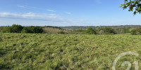 terrain à BONNUT (64300)