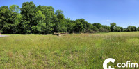 terrain à CASTETIS (64300)