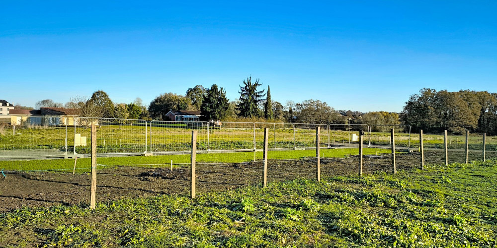 terrain à LUQUET (65320)