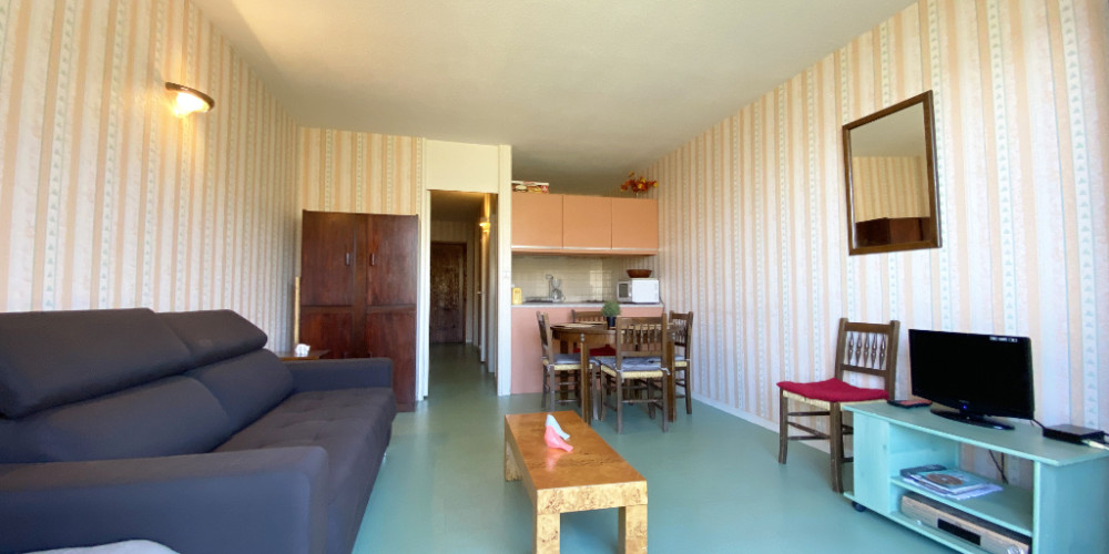 appartement à ST LARY SOULAN (65170)
