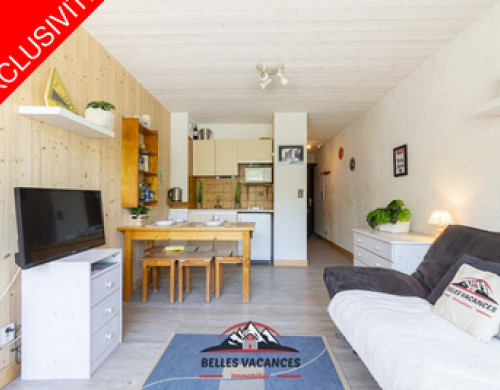 appartement  ST LARY SOULAN