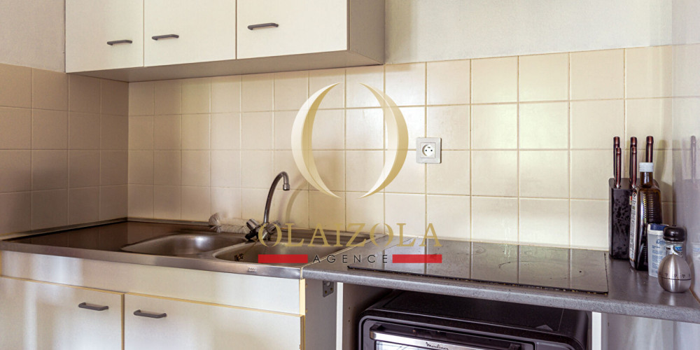 appartement à ST PEE SUR NIVELLE (64310)