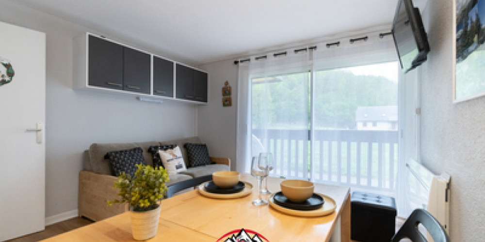 appartement à ST LARY SOULAN (65170)