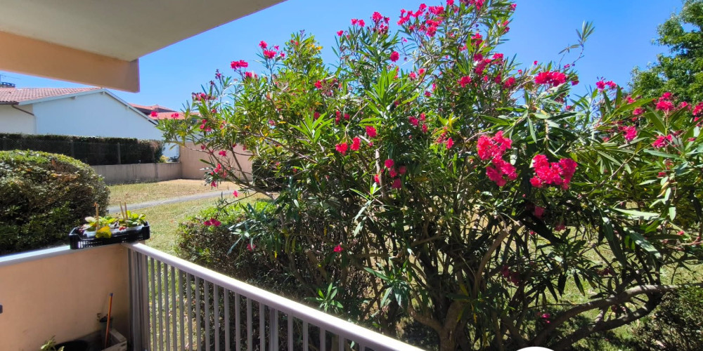 appartement à BIARRITZ (64200)