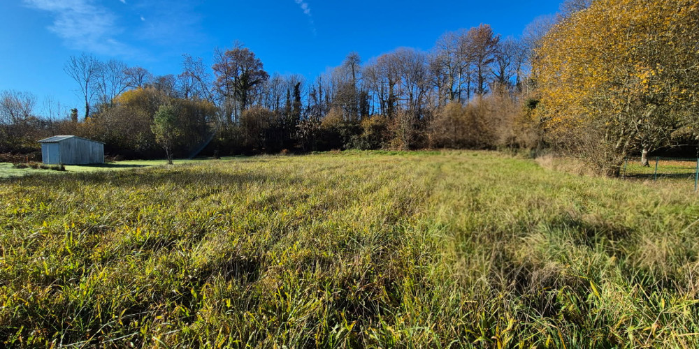 terrain à LIVRON (64530)