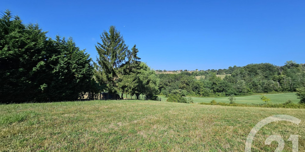 terrain à BAIGTS DE BEARN (64300)