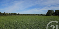 terrain à SAULT DE NAVAILLES (64300)