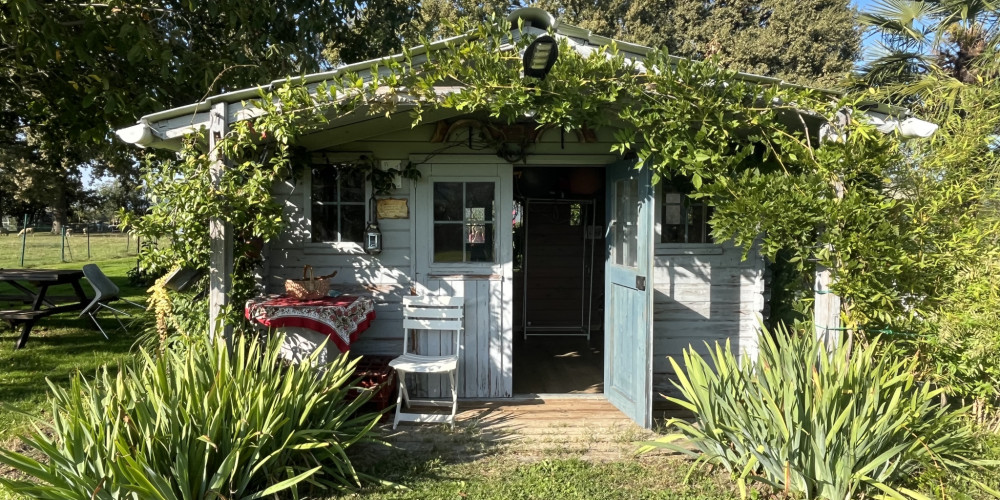 terrain à ST MARTIN (65360)
