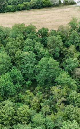 Terrain  SALIES DE BEARN